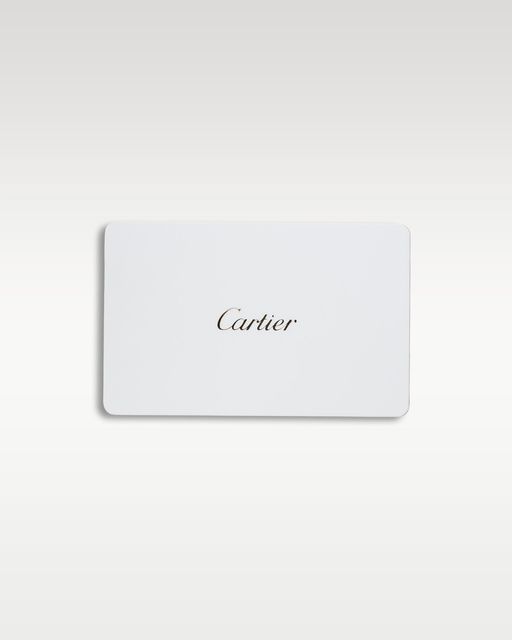 Cartier Santos De Cartier WSSA0029 Image 4